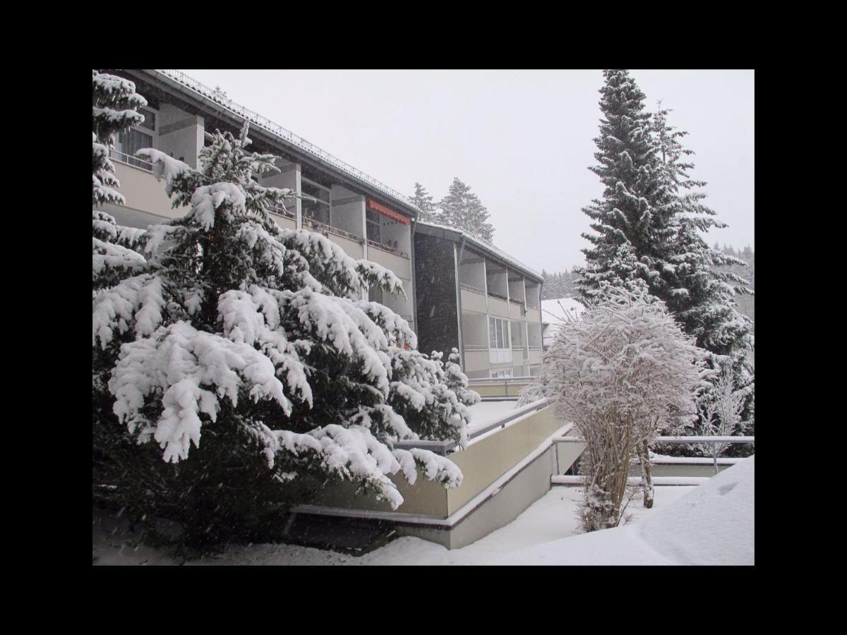 Ferienwohnung Tannenglück Braunlage Exterior foto